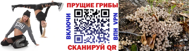 Псилоцибиновые грибы GOLDEN TEACHER  Иркутск 